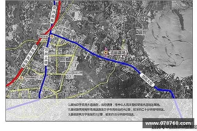 解读TVT体育网址